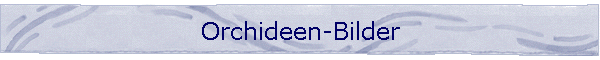 Orchideen-Bilder