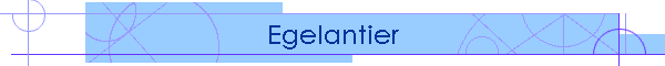 Egelantier