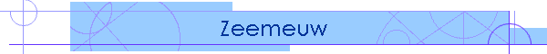 Zeemeuw