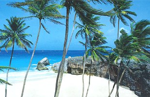 Karibik, Palmenstrand